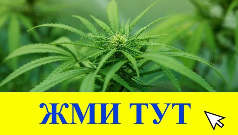 Купить наркотики в Тырныаузе